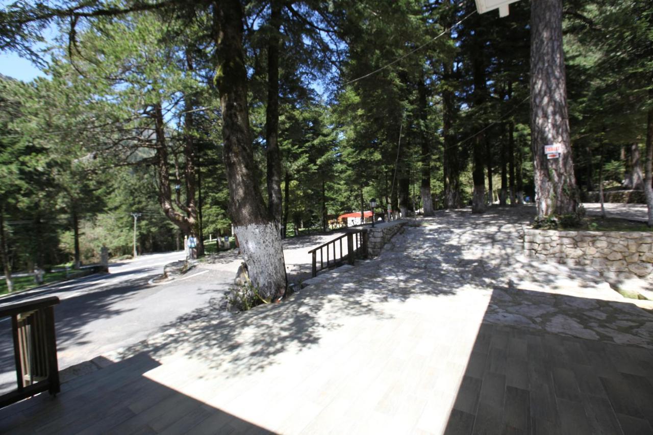 Bujtina Uji I Panjes, Log Cabins Dukat Luaran gambar