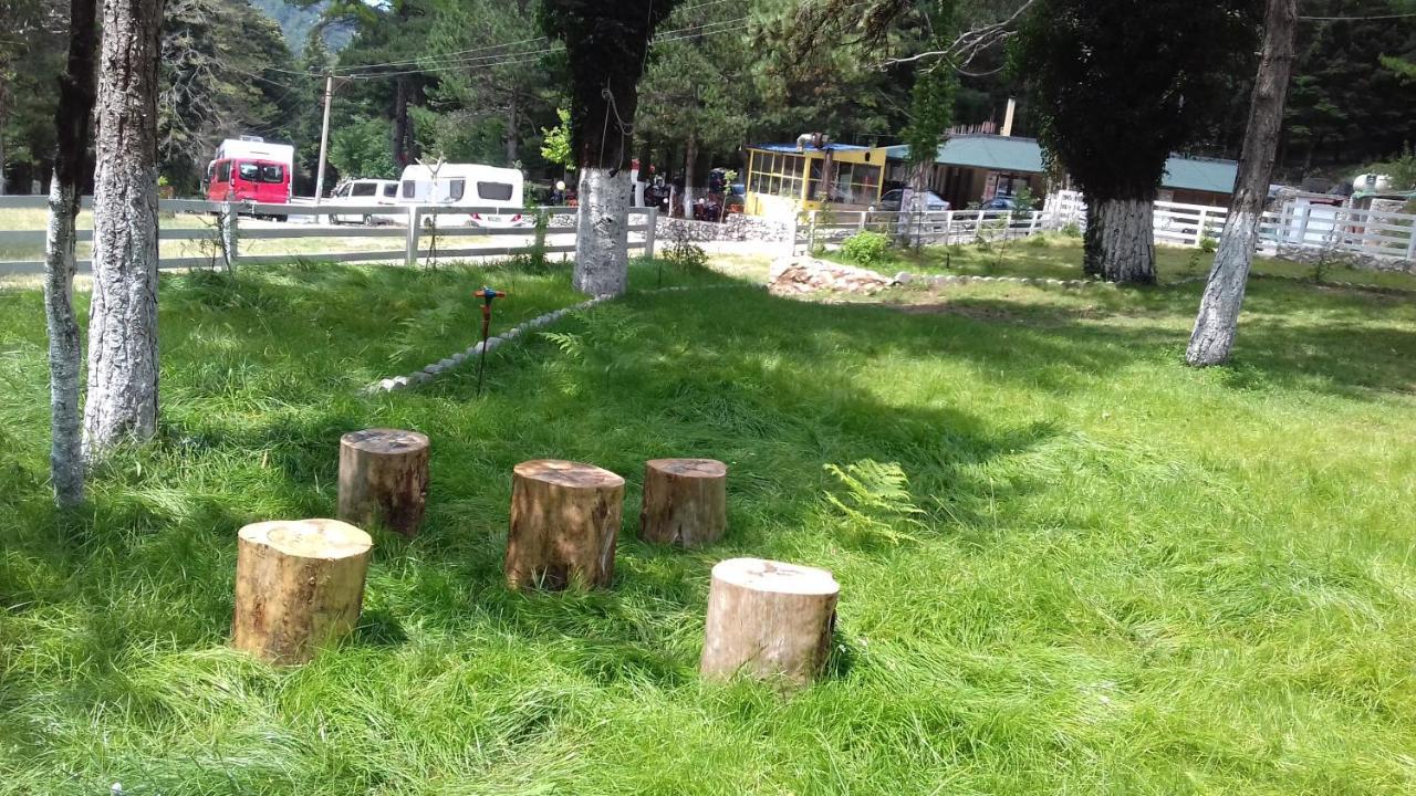 Bujtina Uji I Panjes, Log Cabins Dukat Luaran gambar